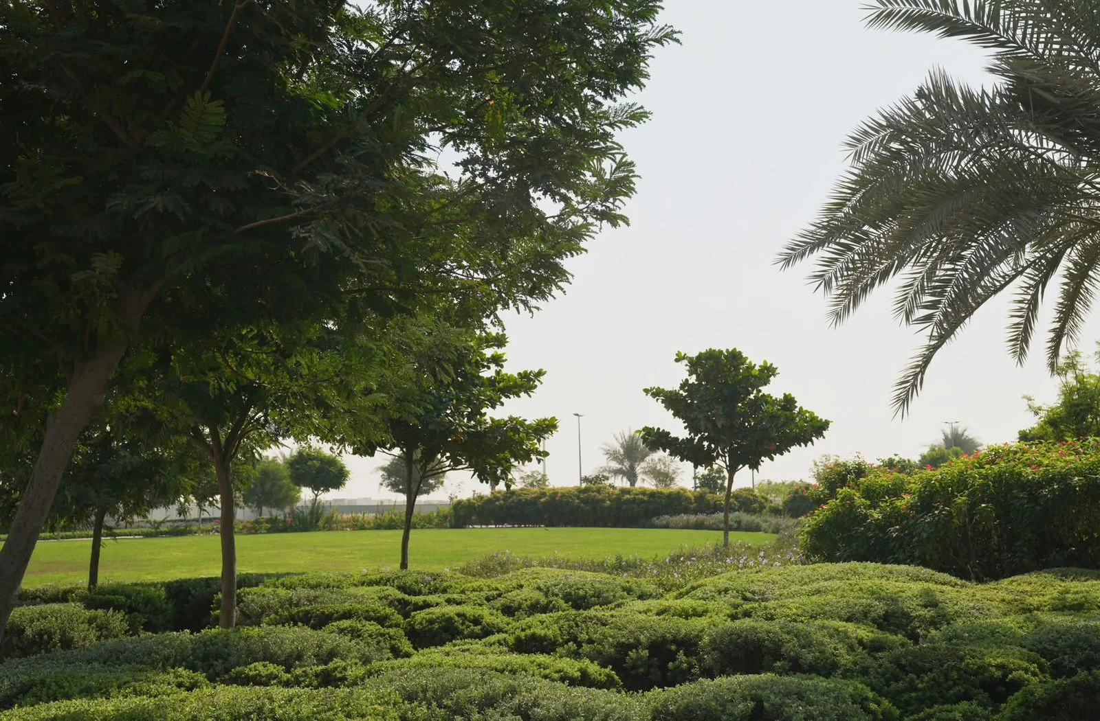 Garden Maintenance Services