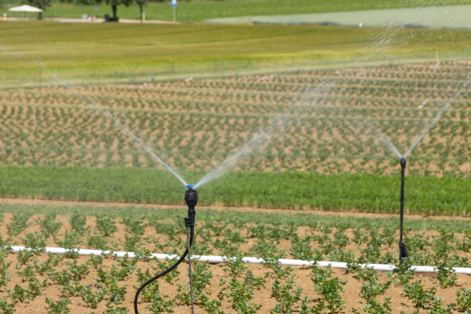 Irrigation & Drainage Systems