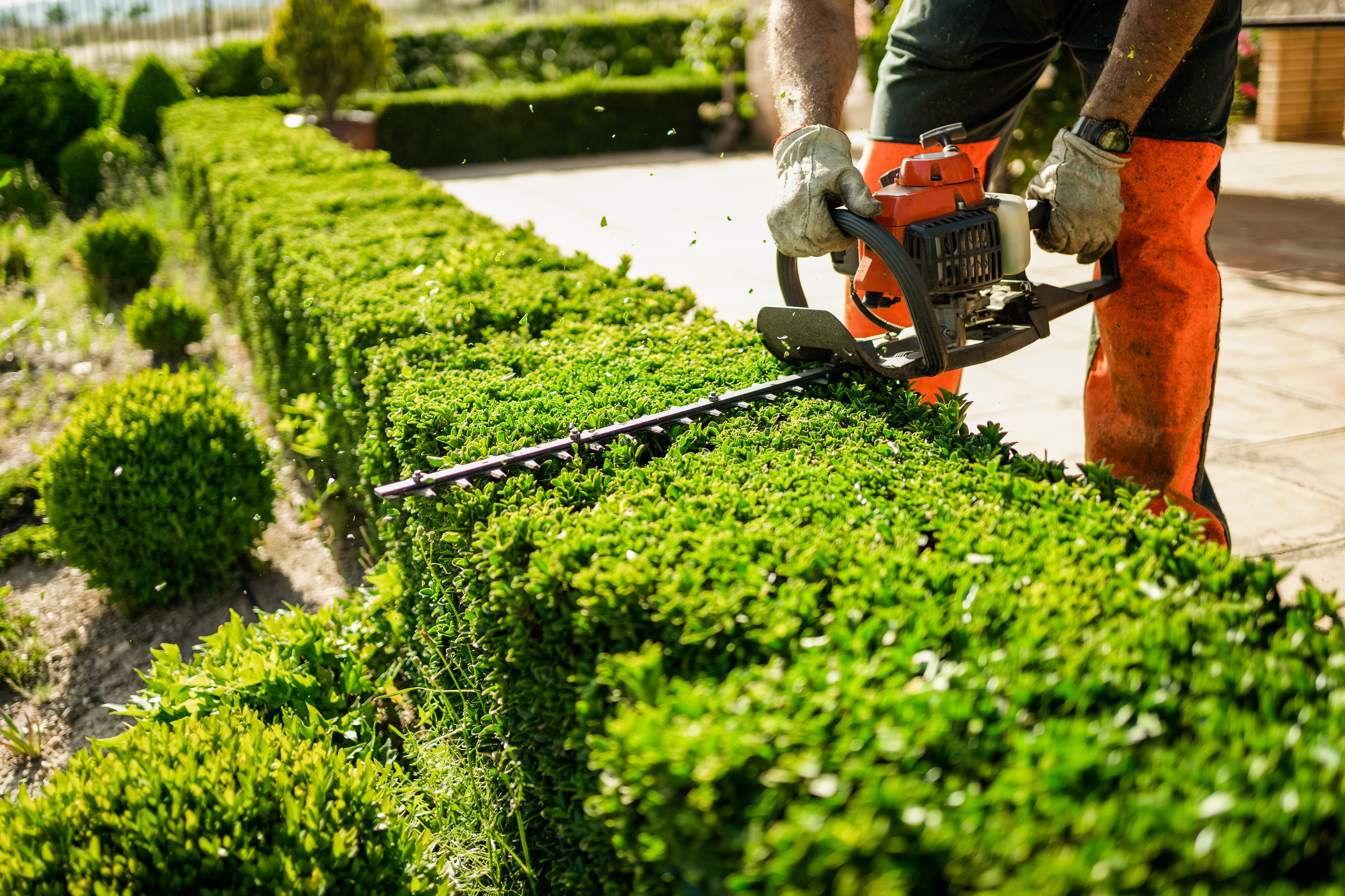 Growscape landscaping consultation in Dubai